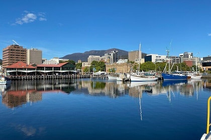 Half day nipaluna (Hobart) Highlights