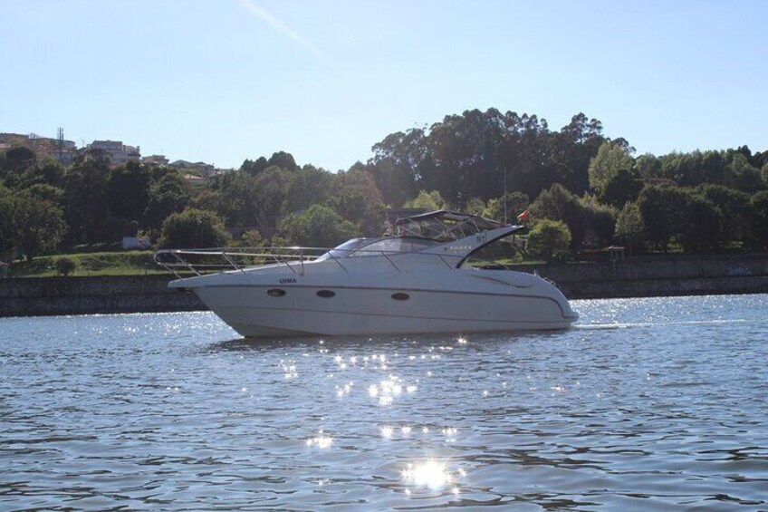 Private Cruise to the Bridges of Porto