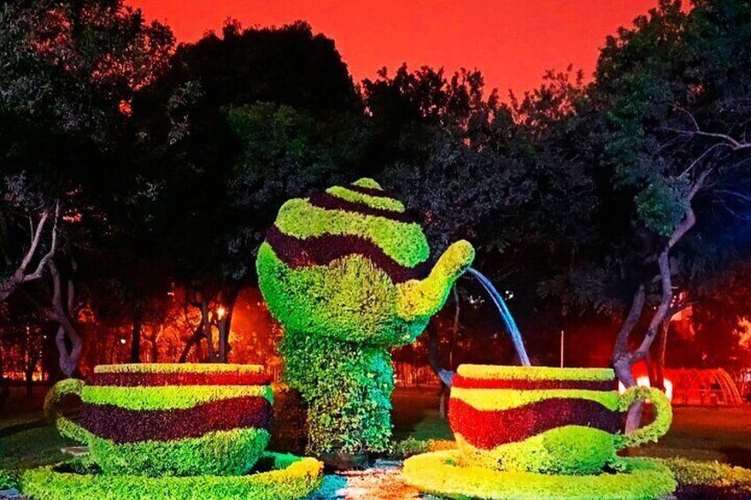 Enjoy the Light Show in the Magic Water Circuit