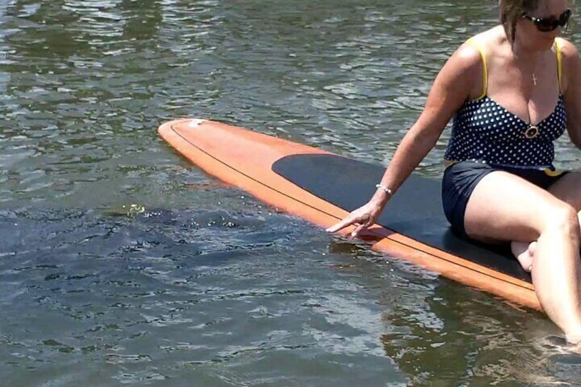 Manatee coming in to investigate.