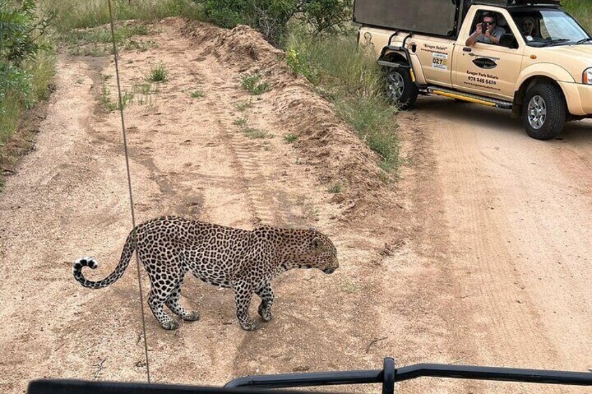 Kruger Park Safari Private Full-Day Tour from Malelane