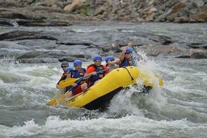 5-Days Private White Water Rafting and Trekking in Mgahinga Park
