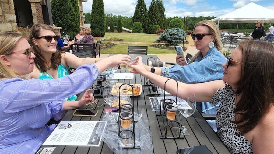 Wine Tour in the North Georgia Mountains