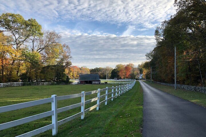 Private Walking Tour of the 100th Town in Westborough