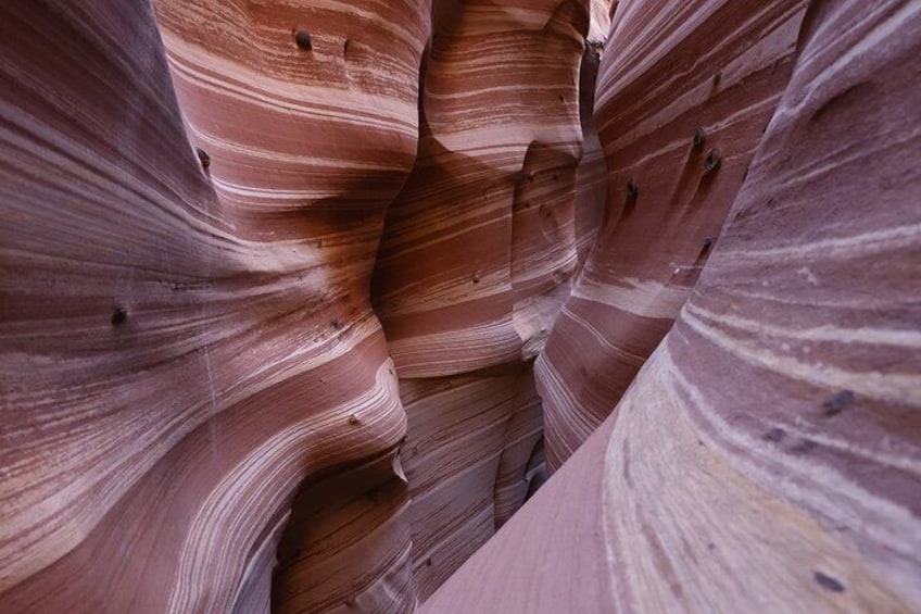 Zebra Slot Canyon Hiking Tour in Escalante