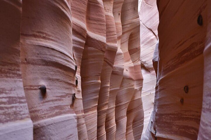 Zebra Slot Canyon Hiking Tour in Escalante