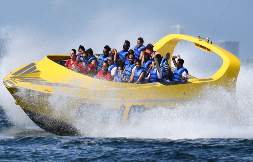 Sightseeing Thrill Ride with Miami Watersports