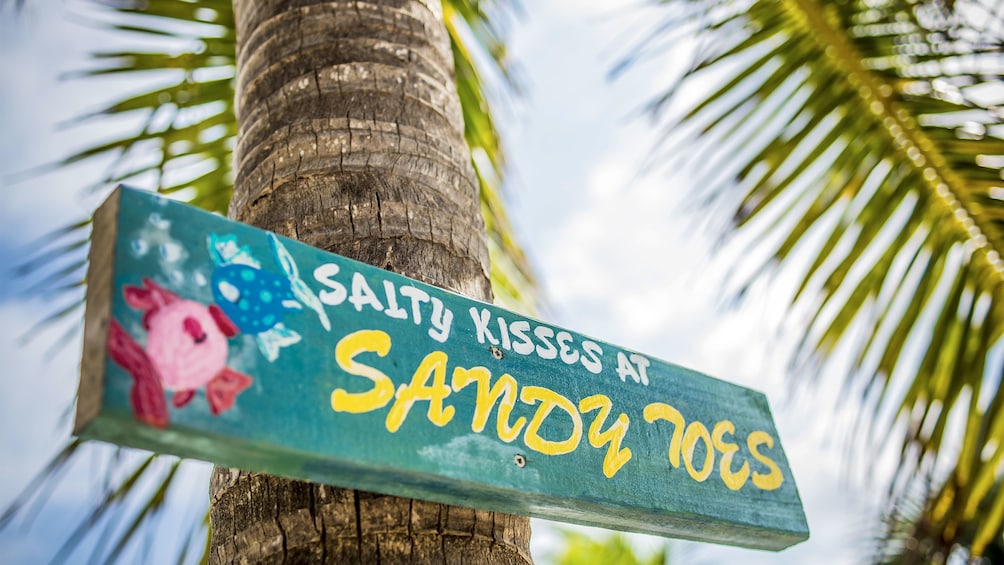 Sign for the Sandy Toes Full Day Excursion To Rose Island