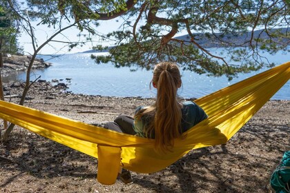 Drøbak: Drakbak: Opastettu kävelyretki rantapolkua ja metsää pitkin.