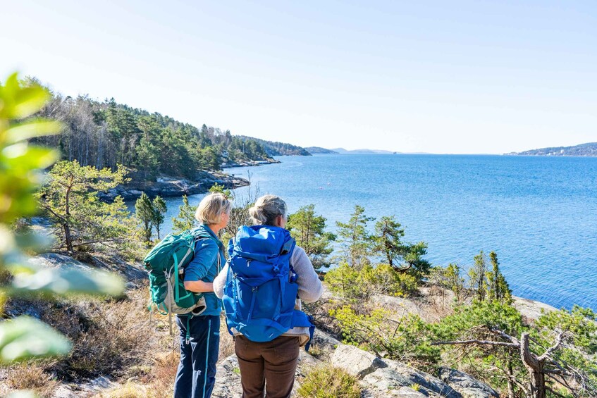 Picture 3 for Activity Drøbak: Guided walk along the coastal path and the forest