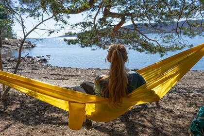 Drøbak: Guidet tur langs kyststien og i skoven