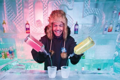 Queenstown : L'expérience du bar à glace Minus 5 avec options de boissons