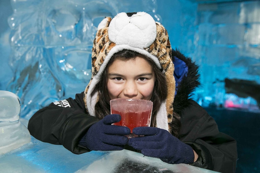 Picture 2 for Activity Queenstown: Minus 5 Ice Bar Experience with Drink Options