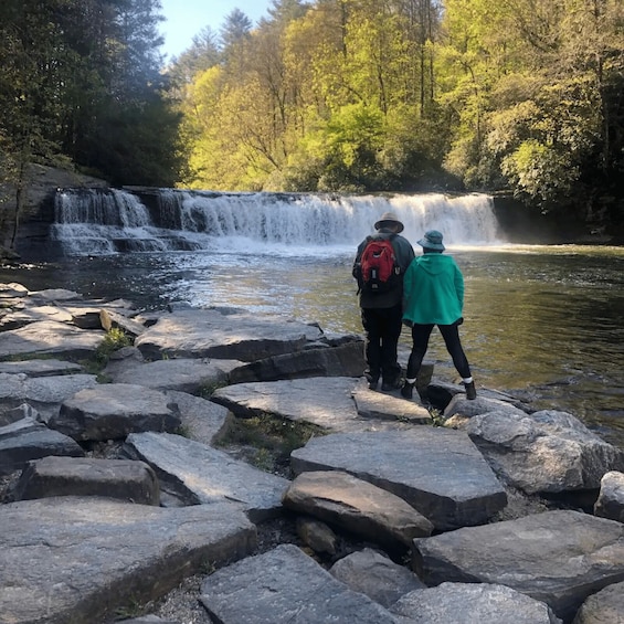 Picture 3 for Activity DuPont State Forest: Three Waterfalls Hike with Coffee Brew