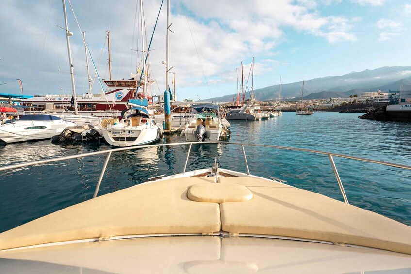 Picture 10 for Activity Puerto Colón: Coastal Boat Cruise with Swimming and Snacks