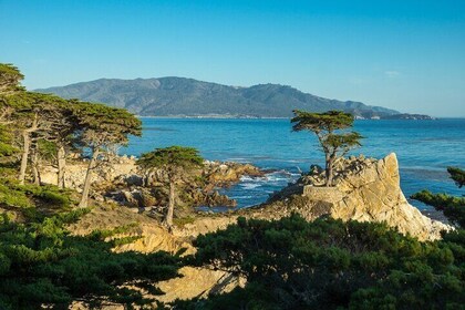 Coastal 17-Mile Drive Self-Guided Audio Tour (Monterey & Carmel)