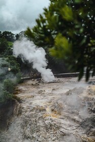 Furnas : Excursion d'une journée aux sources thermales et à la plantation d...