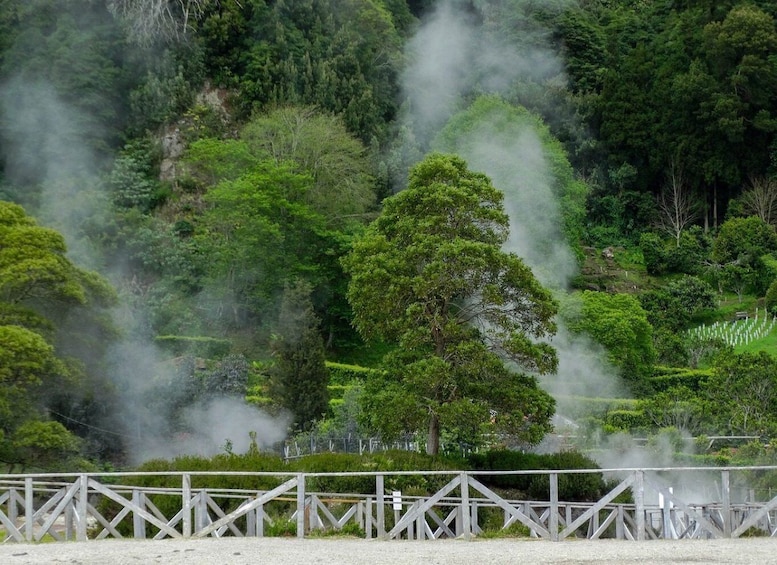Picture 4 for Activity Furnas: Thermal Springs & Tea Plantation Day Tour with Lunch