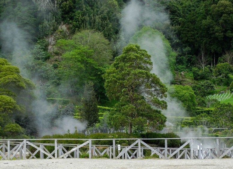 Picture 6 for Activity Furnas: Thermal Springs & Tea Plantation Day Tour with Lunch