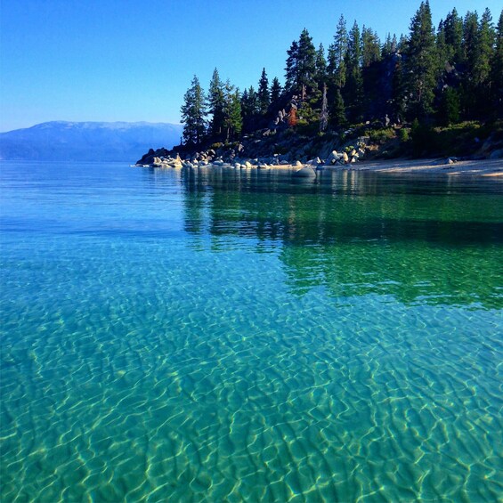 Picture 3 for Activity Lake Tahoe: Private Customizable Cruise with Watersports