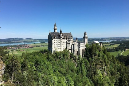 Private Castle Tour from Munich: Neuschwanstein, Hohenschwangau, and Linder...