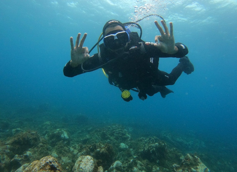 Picture 1 for Activity Terceira: Angra do Heroísmo Scuba Diving Tour with 2 Dives