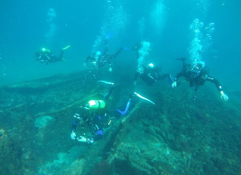 Picture 8 for Activity Terceira: Angra do Heroísmo Scuba Diving Tour with 2 Dives