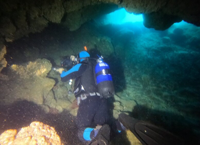 Picture 7 for Activity Terceira: Angra do Heroísmo Scuba Diving Tour with 2 Dives