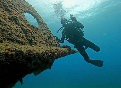 Terceira: Dykketur i Angra do Heroísmo med 2 dykk