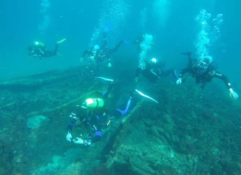 Picture 8 for Activity Terceira: Angra do Heroísmo Scuba Diving Tour with 2 Dives