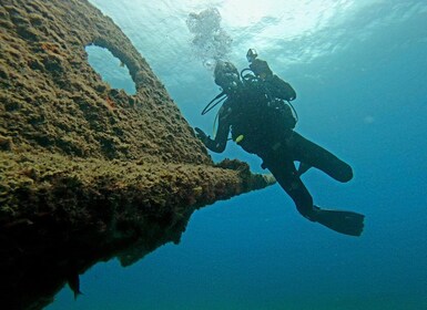 Terceira: tour de buceo en Angra do Heroísmo con 2 inmersiones