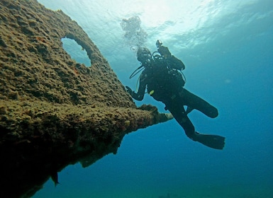 Terceira: tour de buceo en Angra do Heroísmo con 2 inmersiones