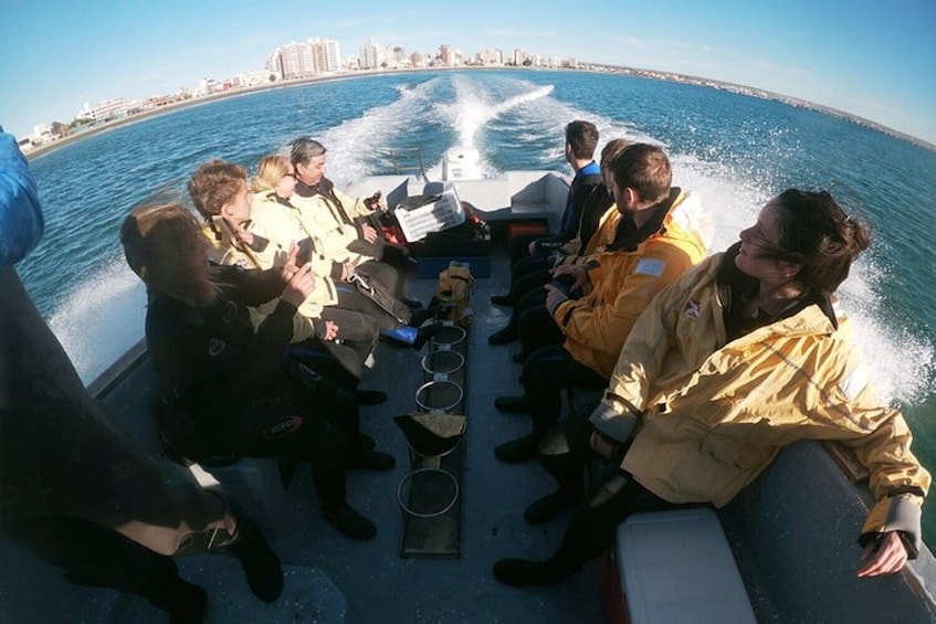 Snorkeling with Sea Lions in Puerto Madryn