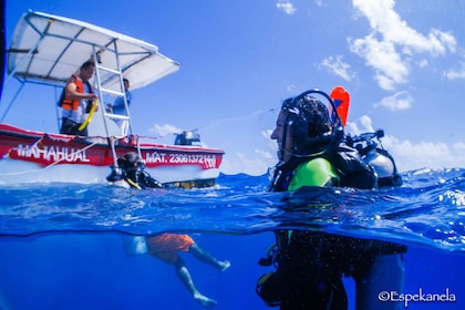 Costa Maya: Discover Scuba Diving Reef Experience