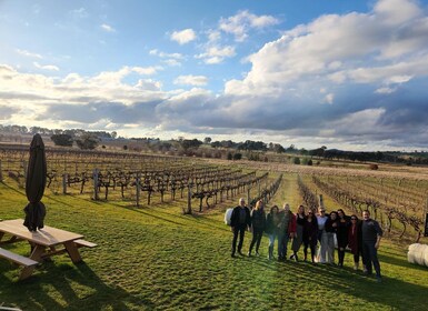 From Canberra: Murrumbateman Wineries Full-Day Tour