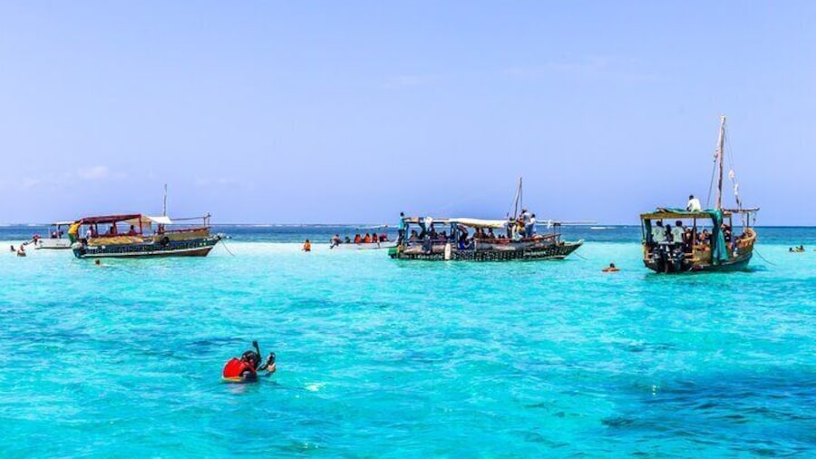 Snorkeling at Kisite Mpunguti Marine Park