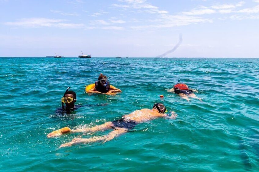 Dolphin Watch & Snorkeling at Kisite Marine Park & Wasini Island