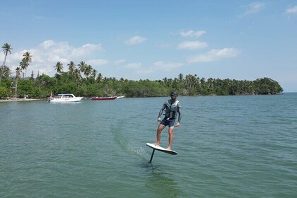 1 Hour Private Efoil Lesson in Samana Bay Max of 2 People