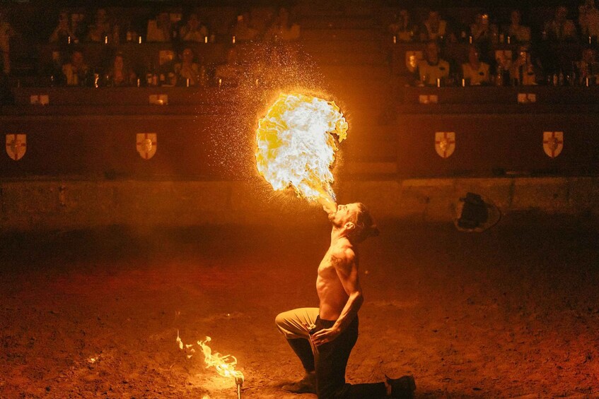 Picture 8 for Activity Tenerife: Castillo San Miguel Medieval Show with Dinner