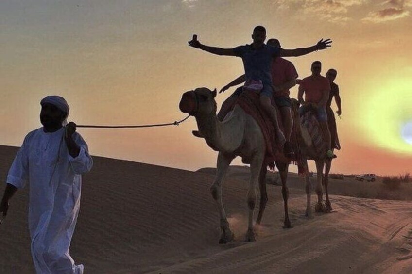 Half Day Dune Buggy Adventure and Camel Ride 