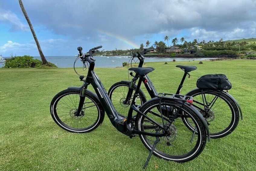 Poipu and Koloa E-Bike Scenic Tour