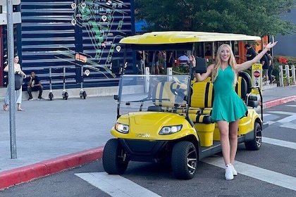 Tampa Bar Crawl on a 2023 Street Legal Golf Cart