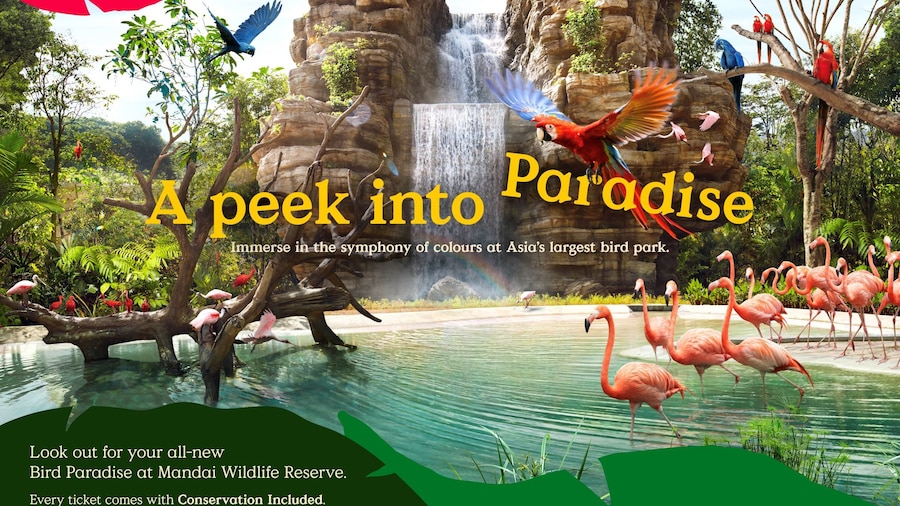 Bird Paradise Singapore