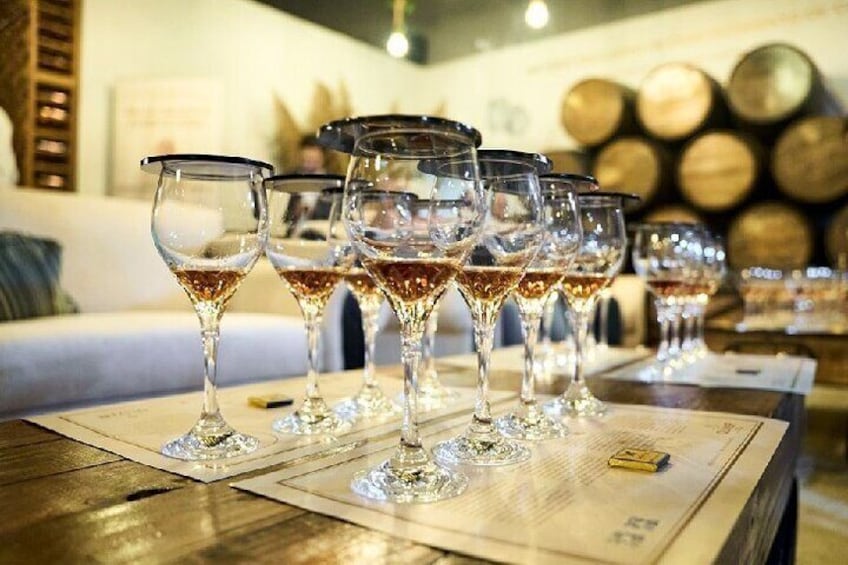 Rum Tasting Expirience in Punta Cana