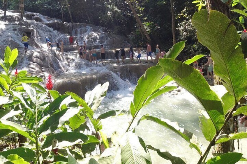 Brave the cascading waterfalls and enjoy the climb up the waterfall. Try it on your own or get a personalized guide or join the line. Guaranteed fun and excitement.