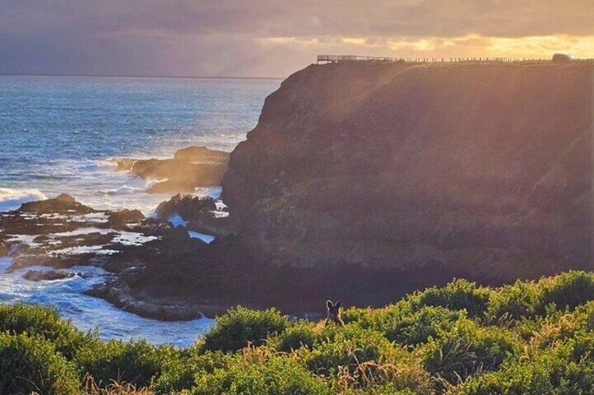 Scenic Lookout at our back beach drive