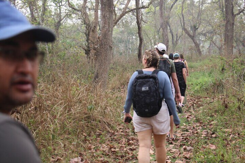 3 Nights 4 Days Chitwan National Park with Tower Night Stay