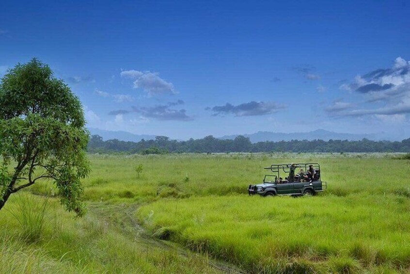 3 Nights 4 Days Chitwan National Park with Tower Night Stay