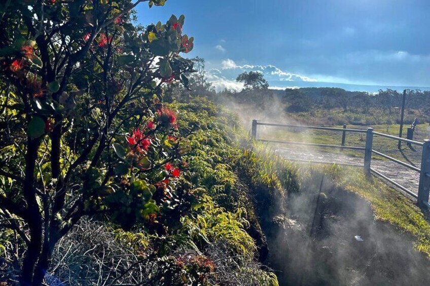 Private Group Island Tour: Coffee, Beaches, Volcanos, Waterfalls