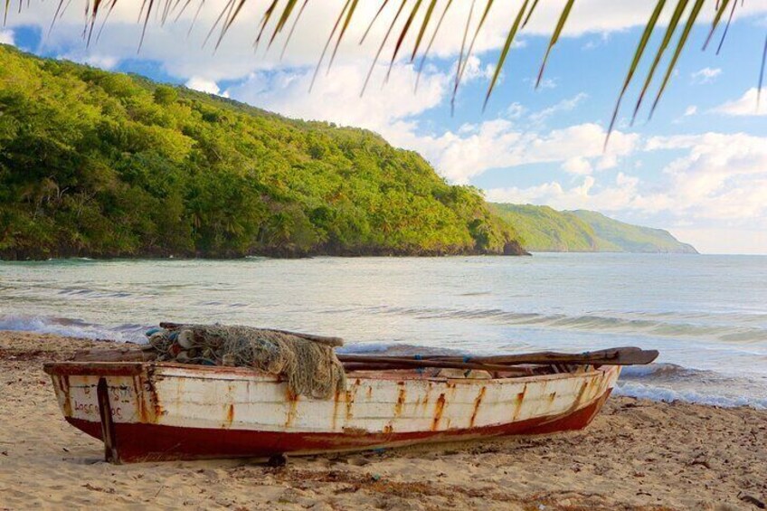 Tropical Tranquility: Discover Samana, Playa Rincón and much more
